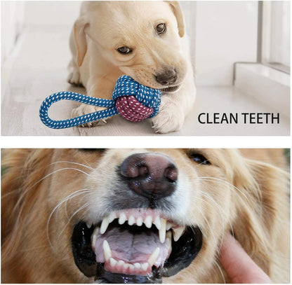7 Pack Puppy Toy Set – Squeaky Calf Plush, Rope Chew Toys & Teething Toys for Small Dogs