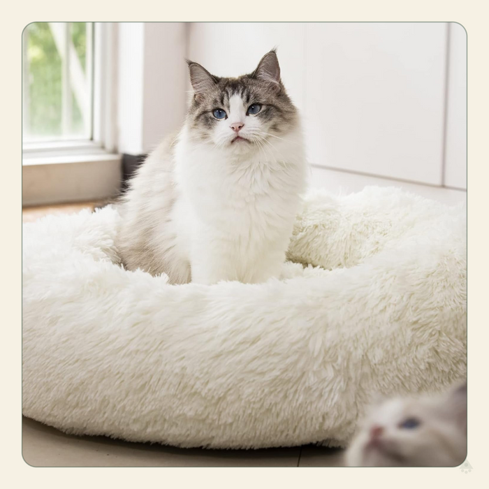 Calming Donut Dog Bed – Anti-Anxiety Faux Fur Bolster Bed for Cats & Dogs