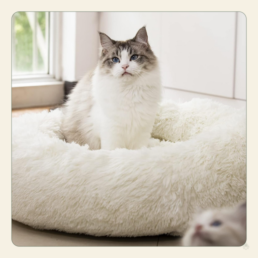Calming Donut Dog Bed – Anti-Anxiety Faux Fur Bolster Bed for Cats & Dogs