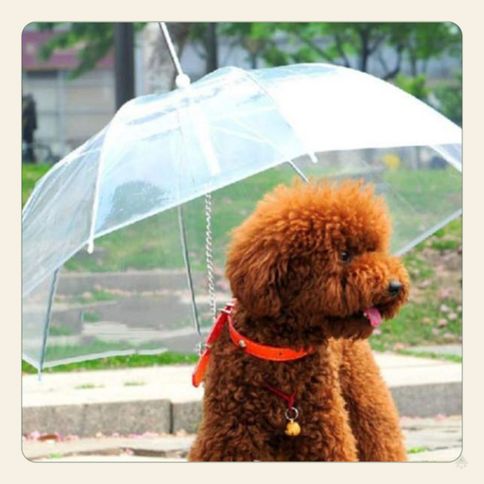 Premium Dog Umbrella