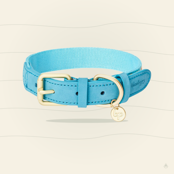 Blueberry Pet Southwestern Tribal Dog Collar – Genuine Leather & Polyester Combo with Metal Buckle, Celeste Blue, Large