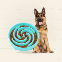 Spiral Maze Slow Feeder Dog Bowl – Anti-Bloat BPA-Free Puzzle Bowl for Small & Medium Dogs