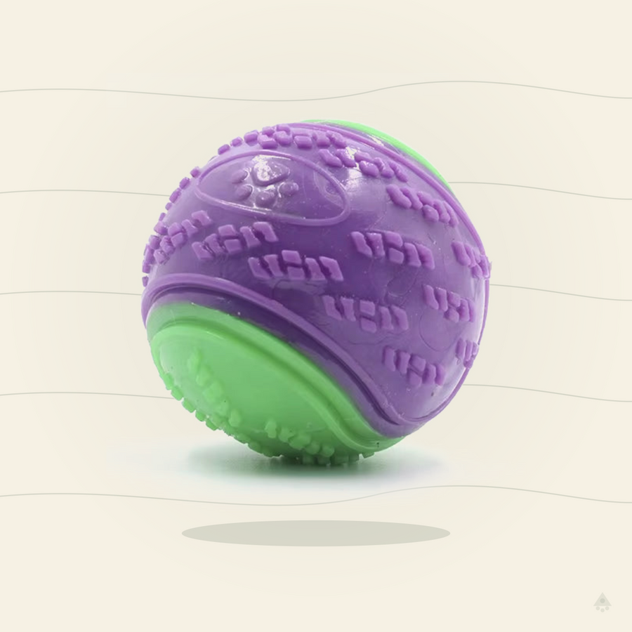 Squeaky TPR Dog Ball Toy – Interactive Teeth Cleaning Bite-Resistant Chew Toy for All Dogs