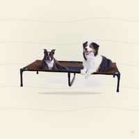 K&H Elevated Dog Cot – All-Weather Cooling Raised Pet Bed for Indoor & Outdoor Use