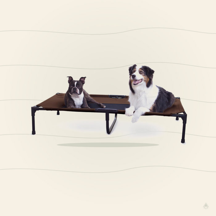 K&H Elevated Dog Cot – All-Weather Cooling Raised Pet Bed for Indoor & Outdoor Use