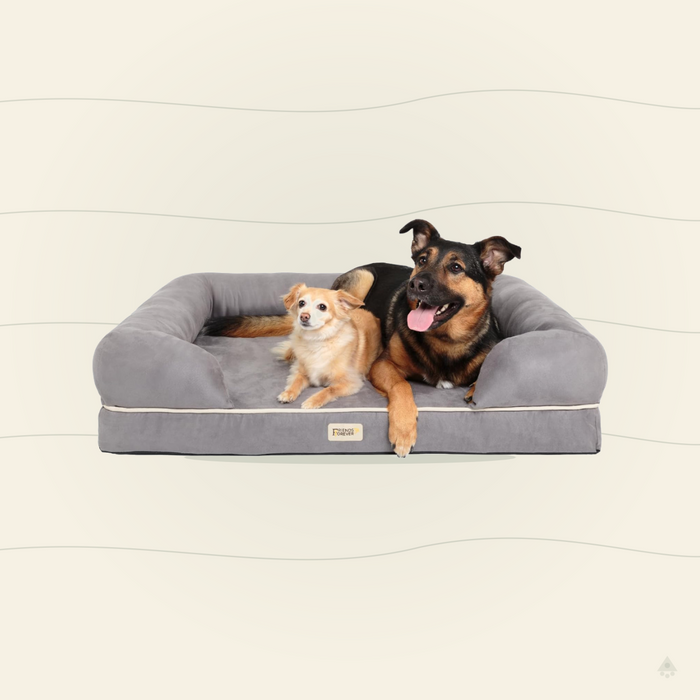 Orthopedic Memory Foam Dog Bed with Bolster Walls – Large Pet Sofa Bed up to 130 lbs
