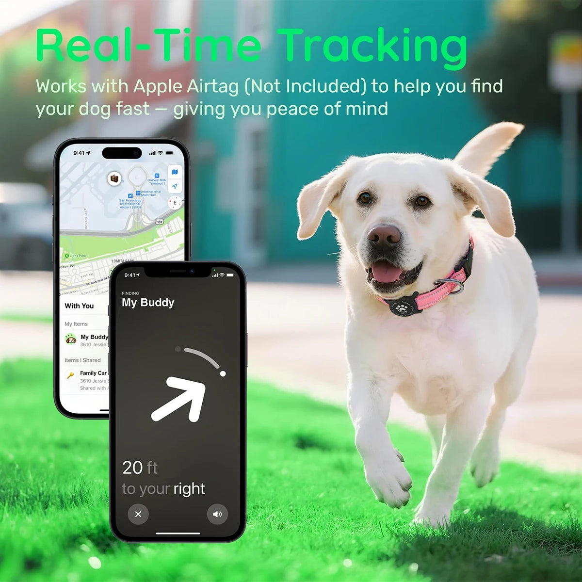 Reflective Dog Collar with Waterproof AirTag Holder & Luminous Safety Buckle