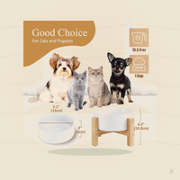 Elevated Ceramic Cat Bowl - Cat Food Bowl with Bamboo Stand - Raised Dog Dish for Puppies - anti Vomiting, Stress Free - 13.5 Oz / 400 Ml - White