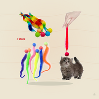 Caterpillar Bouncing Ball Cat Toy – Colorful Interactive Worm Teaser for Indoor Cats & Kittens