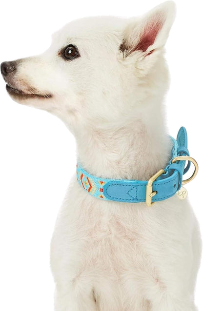 Blueberry Pet Southwestern Tribal Dog Collar – Genuine Leather & Polyester Combo with Metal Buckle, Celeste Blue, Large