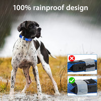 LED Dog Collar – USB Rechargeable, Water-Resistant, 3 Light Modes for Night Walking Safety, Blue, Medium