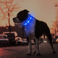 LED Dog Collar – USB Rechargeable, Water-Resistant, 3 Light Modes for Night Walking Safety, Blue, Medium