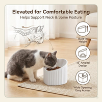 Green Ceramic Raised Cat Bowls, Tilted Elevated Food or Water Bowls, Stress Free, Backflow Prevention, Dishwasher and Microwave Safe, Lead & Cadmium Free