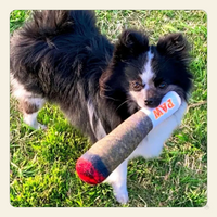 Doggy Doobie Squeaky Plush Dog Toy – Funny 9.5" Stuffed Novelty Toy for All Dog Sizes