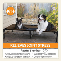 K&H Elevated Dog Cot – All-Weather Cooling Raised Pet Bed for Indoor & Outdoor Use