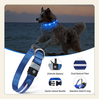 LED Dog Collar – USB Rechargeable, Water-Resistant, 3 Light Modes for Night Walking Safety, Blue, Medium