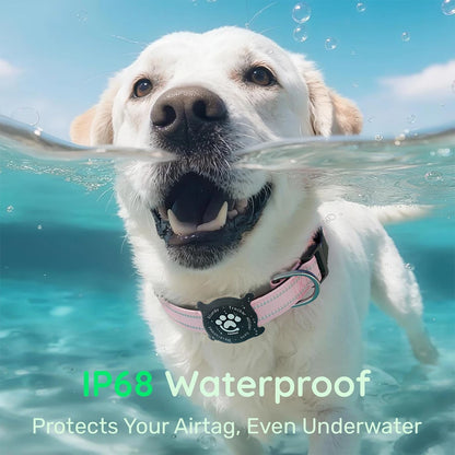 Reflective Dog Collar with Waterproof AirTag Holder & Luminous Safety Buckle