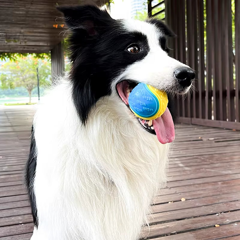 Squeaky TPR Dog Ball Toy – Interactive Teeth Cleaning Bite-Resistant Chew Toy for All Dogs