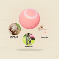 Smart Automatic Rolling Ball Cat Toy – Self-Moving Electric Interactive Toy for Indoor Cats & Kittens