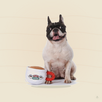 Friends Central Perk Coffee Mug Plush Dog Toy – Squeaky Rope Handle Toy for Dogs