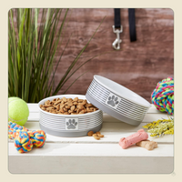 Ceramic Pet Bowl Set of 2 – Non-Slip Dishwasher Safe Food & Water Dishes for Cats & Dogs