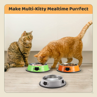 3PCS Pet Bowl Stainless Steel Non-Skid Base Dog Bowl Cat Bowl with 2 Food Scoop (Multicolor)