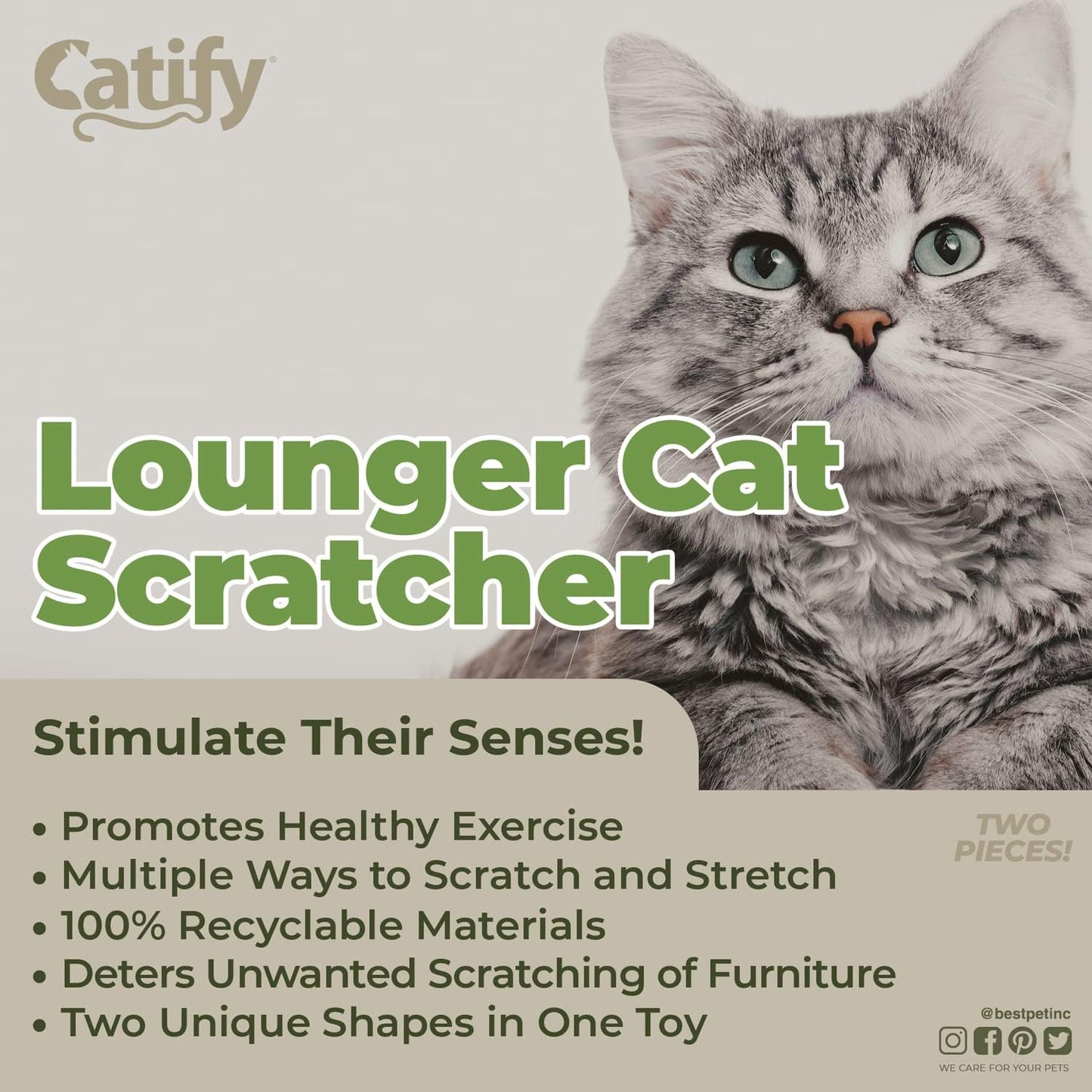 Catify Cat Scratcher Lounger – Heavy-Duty Sisal Scratching Lounge for Indoor Cats