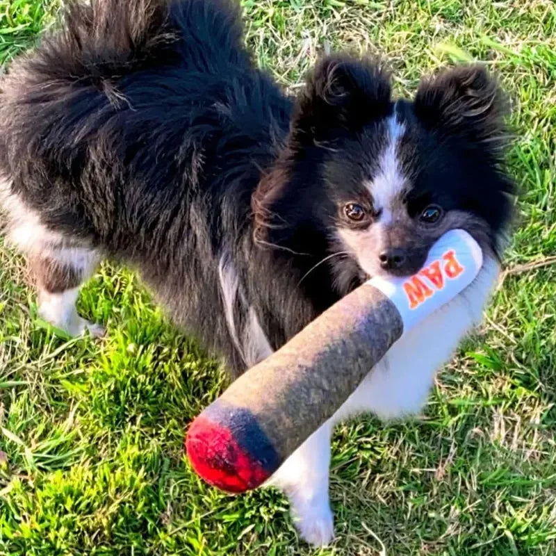 Doggy Doobie Squeaky Plush Dog Toy – Funny 9.5" Stuffed Novelty Toy for All Dog Sizes