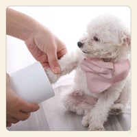 Paw Cleaner