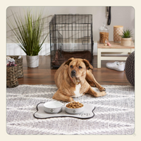 Ceramic Pet Bowl Set of 2 – Non-Slip Dishwasher Safe Food & Water Dishes for Cats & Dogs