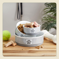 Ceramic Pet Bowl Set of 2 – Non-Slip Dishwasher Safe Food & Water Dishes for Cats & Dogs