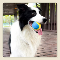 Squeaky TPR Dog Ball Toy – Interactive Teeth Cleaning Bite-Resistant Chew Toy for All Dogs