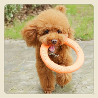 EVA Flying Disk Ring Puller Dog Toy – Interactive Bite & Fetch Toy for Small & Large Dogs