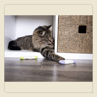 SmartyKat Fish Flop Cat Toy – Catnip & Crinkle Fish Toy for Cats & Kittens, 3 Count