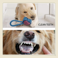 7 Pack Puppy Toy Set – Squeaky Calf Plush, Rope Chew Toys & Teething Toys for Small Dogs