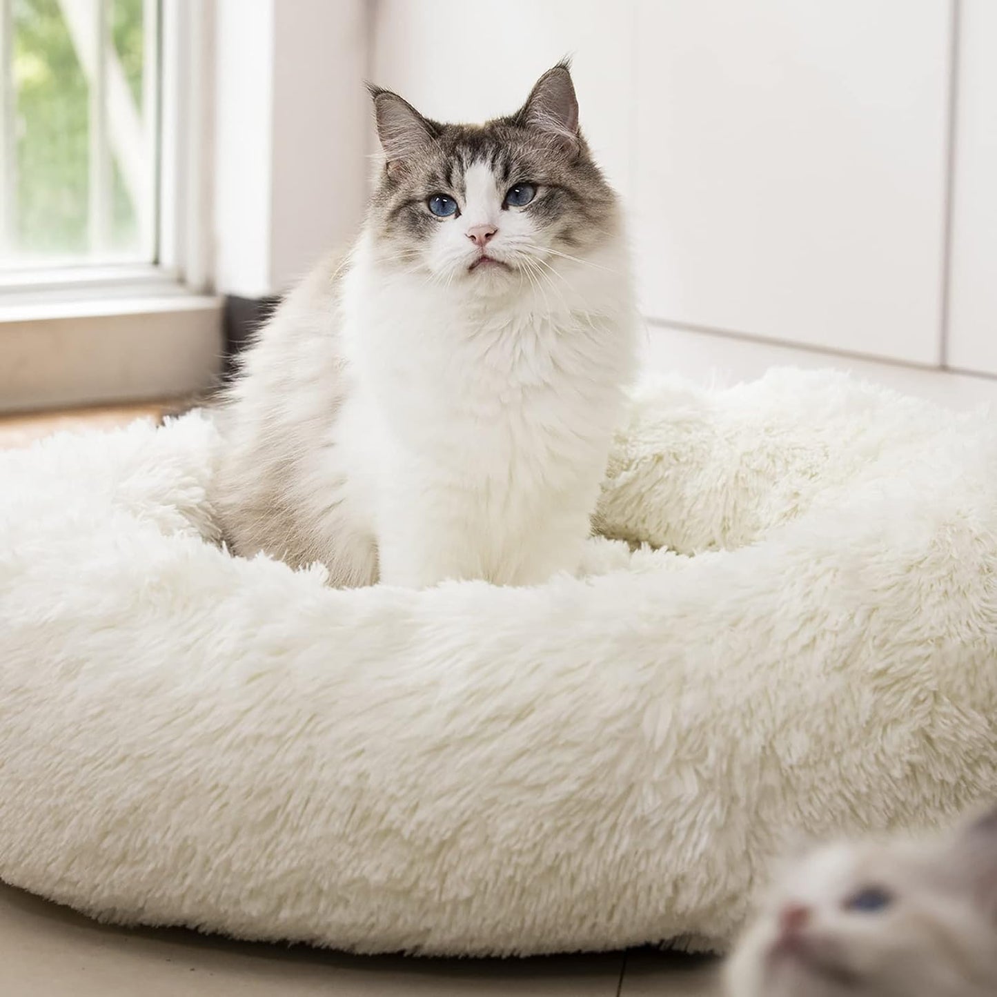 Calming Donut Dog Bed – Anti-Anxiety Faux Fur Bolster Bed for Cats & Dogs