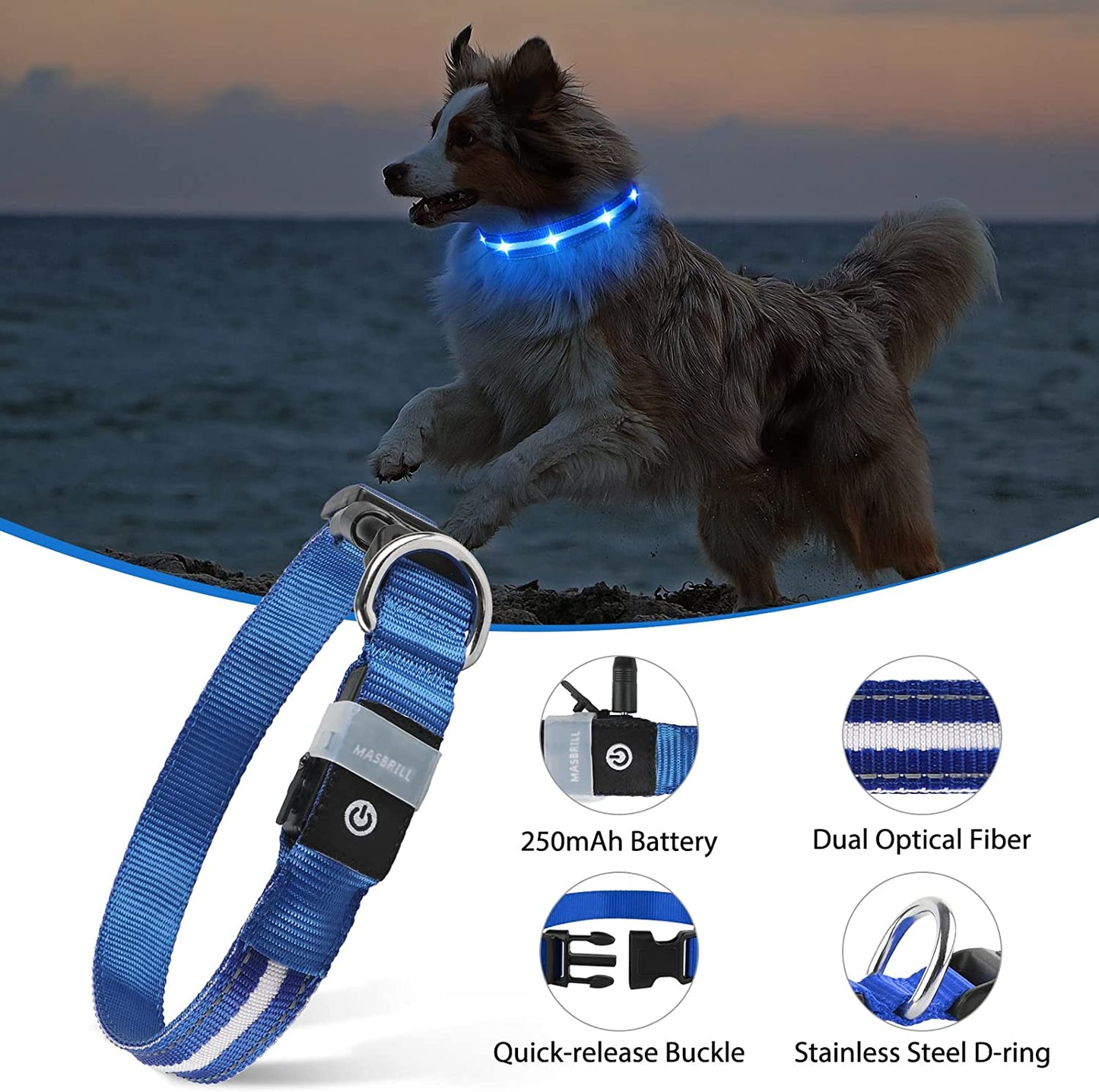 LED Dog Collar – USB Rechargeable, Water-Resistant, 3 Light Modes for Night Walking Safety, Blue, Medium