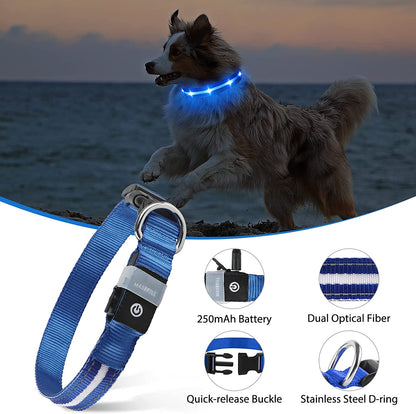 LED Dog Collar – USB Rechargeable, Water-Resistant, 3 Light Modes for Night Walking Safety, Blue, Medium