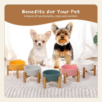 Elevated Ceramic Cat Bowl - Cat Food Bowl with Bamboo Stand - Raised Dog Dish for Puppies - anti Vomiting, Stress Free - 13.5 Oz / 400 Ml - White