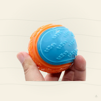 Squeaky TPR Dog Ball Toy – Interactive Teeth Cleaning Bite-Resistant Chew Toy for All Dogs