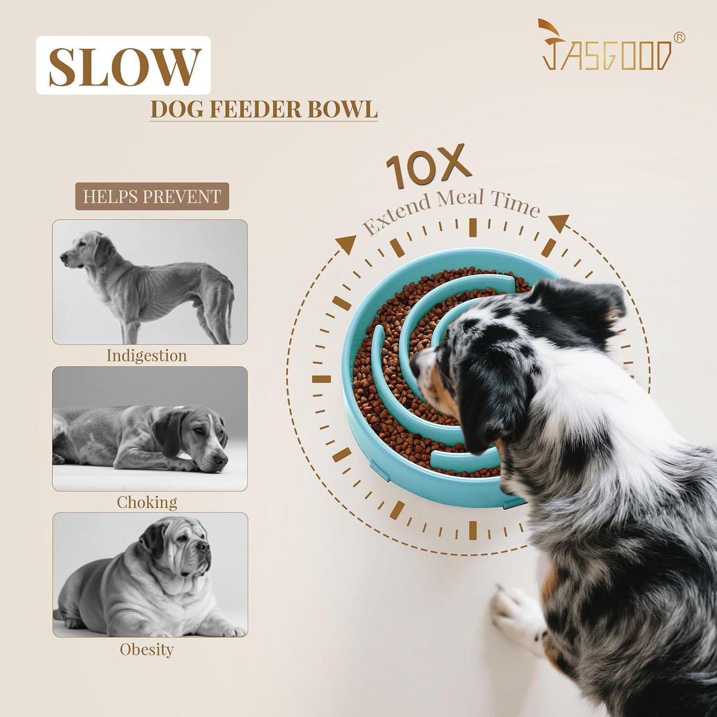 Spiral Maze Slow Feeder Dog Bowl – Anti-Bloat BPA-Free Puzzle Bowl for Small & Medium Dogs