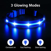 LED Dog Collar – USB Rechargeable, Water-Resistant, 3 Light Modes for Night Walking Safety, Blue, Medium