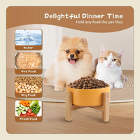 Elevated Ceramic Cat Bowl - Cat Food Bowl with Bamboo Stand - Raised Dog Dish for Puppies - anti Vomiting, Stress Free - 13.5 Oz / 400 Ml - White