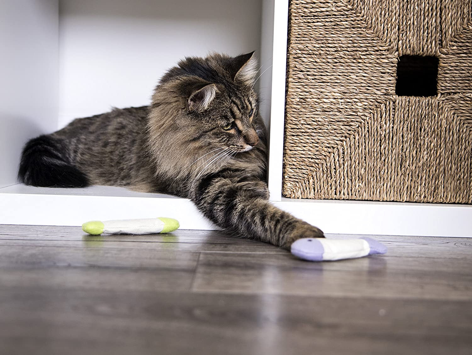 Smart Automatic Rolling Ball Cat Toy – Self-Moving Electric Interactive Toy for Indoor Cats & Kittens