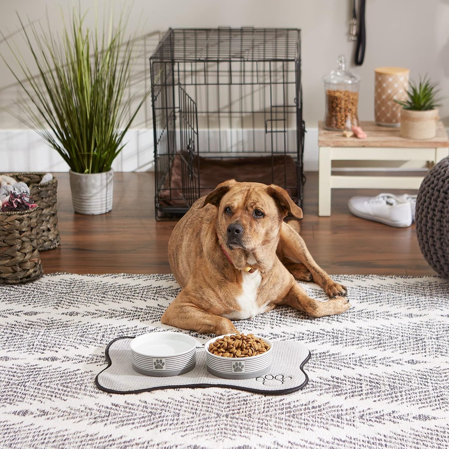 Ceramic Pet Bowl Set of 2 – Non-Slip Dishwasher Safe Food & Water Dishes for Cats & Dogs