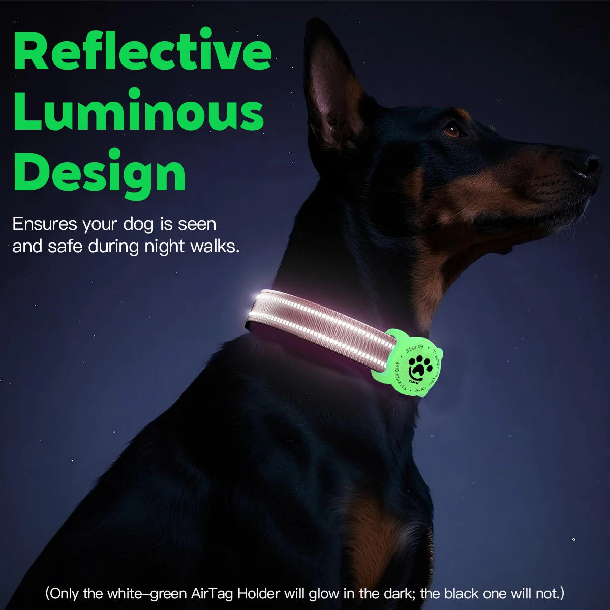 Reflective Dog Collar with Waterproof AirTag Holder & Luminous Safety Buckle