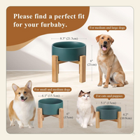 Elevated Ceramic Cat Bowl - Cat Food Bowl with Bamboo Stand - Raised Dog Dish for Puppies - anti Vomiting, Stress Free - 13.5 Oz / 400 Ml - White