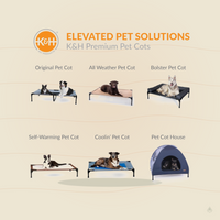 K&H Elevated Dog Cot – All-Weather Cooling Raised Pet Bed for Indoor & Outdoor Use