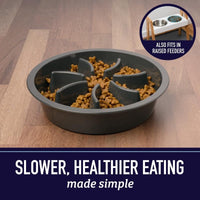 Slow Feeder Dog Bowl Insert – Non-Slip Puzzle Feeder for Fast Eaters