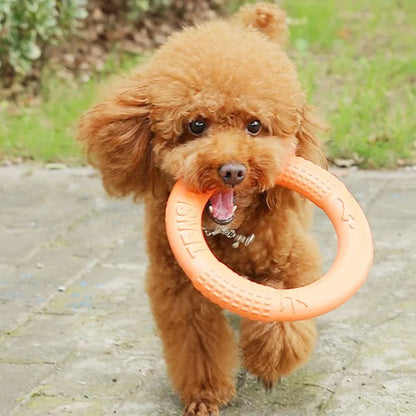 EVA Flying Disk Ring Puller Dog Toy – Interactive Bite & Fetch Toy for Small & Large Dogs
